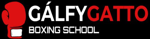 logo2